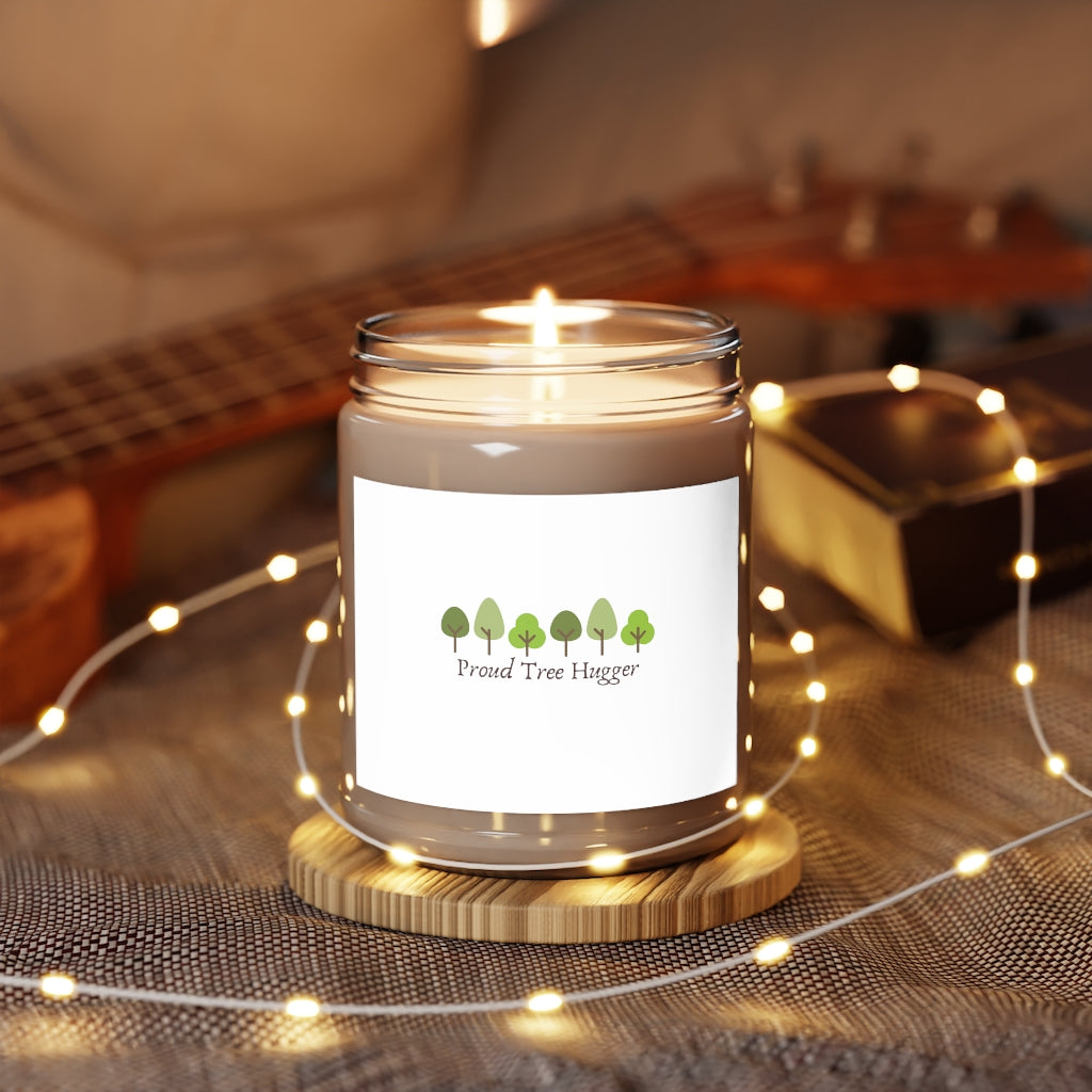 Aromatherapy Candles, 9oz